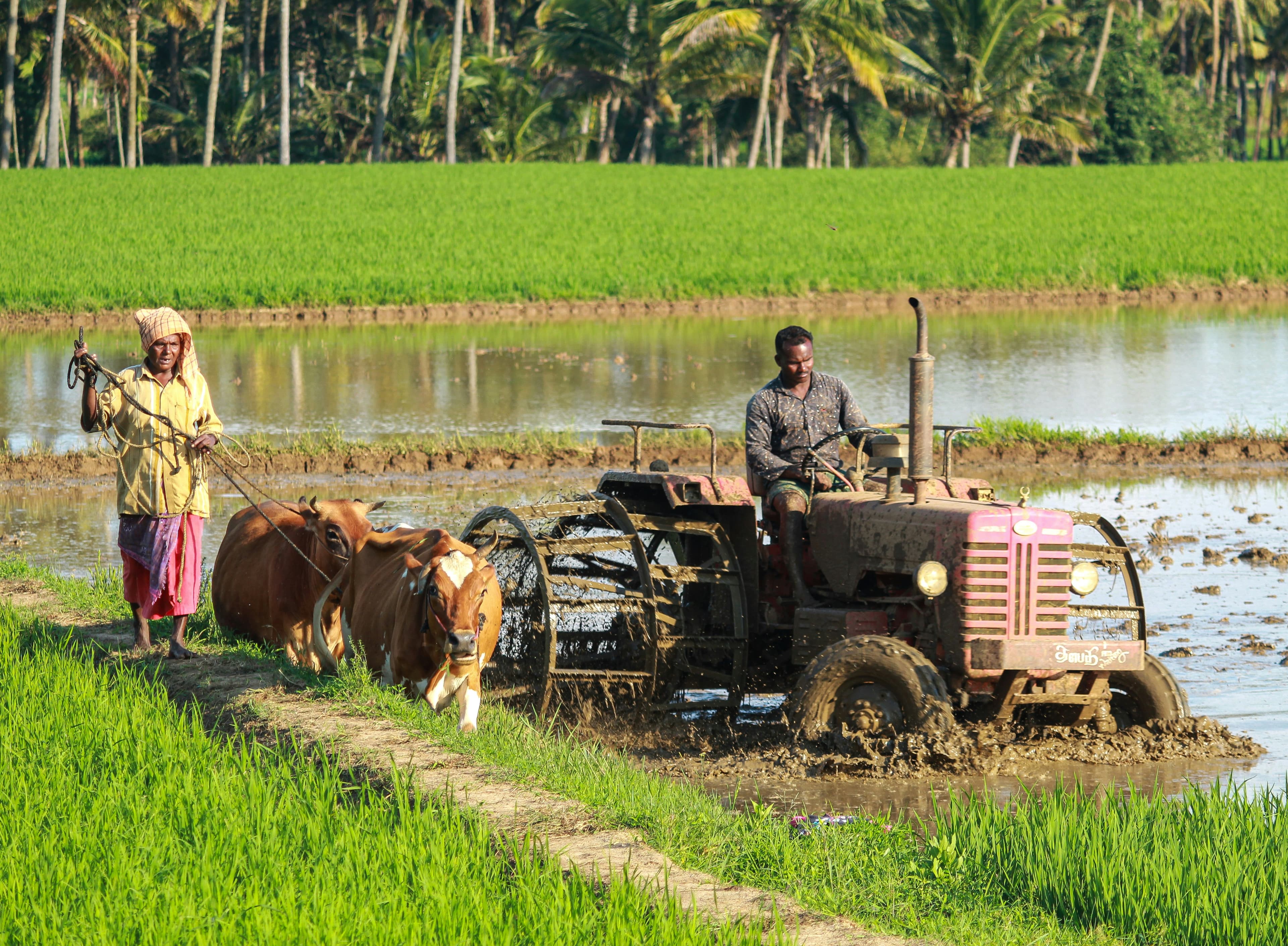 Precision Farming